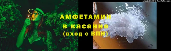 ГАЛЛЮЦИНОГЕННЫЕ ГРИБЫ Богданович