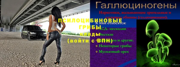 ГАЛЛЮЦИНОГЕННЫЕ ГРИБЫ Богданович