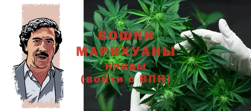 как найти закладки  Вольск  Бошки марихуана White Widow 